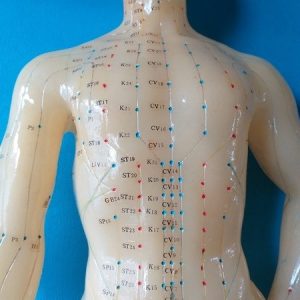 chinese tcm shiatsu therapy 18